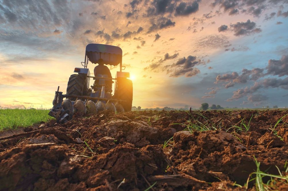 graypoint-farms-land-clearing
