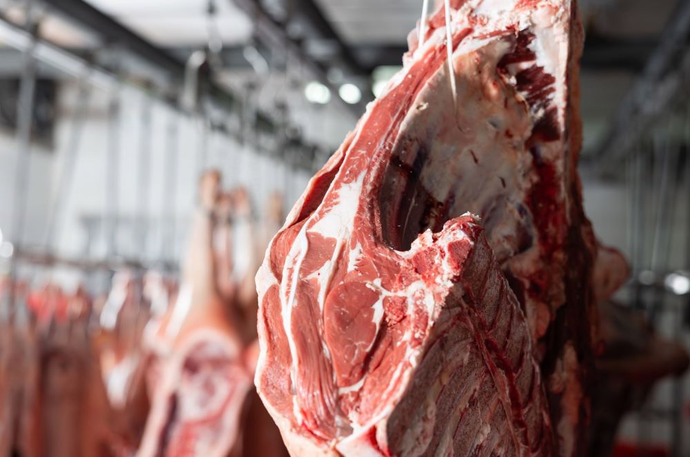 meat-packing