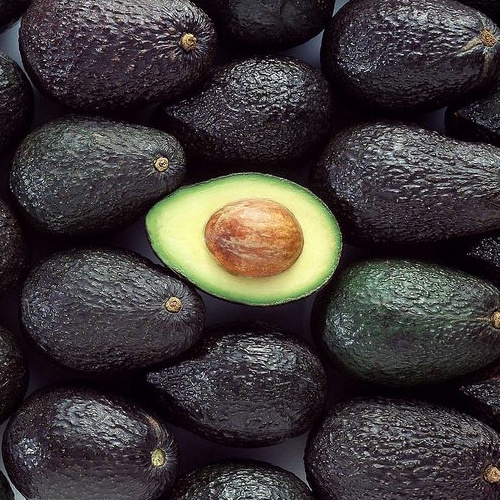 hass-avocado