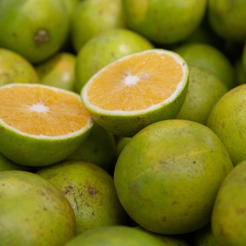 oranges